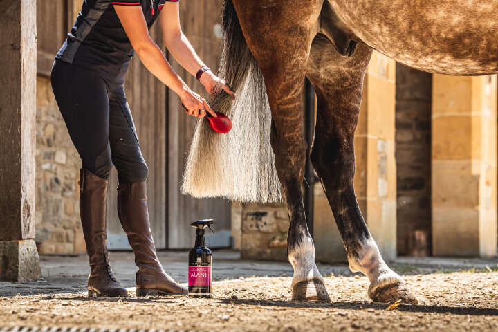 CARR & DAY & MARTIN Canter Mane & Tail Conditioner Spray